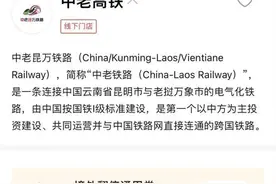 方便！国内游客可使用微信支付购买中老铁路跨境列车车票图片