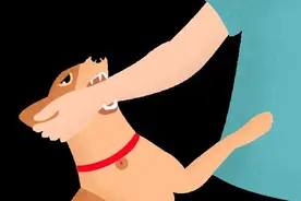 广西一孩子被狗抓伤，当晚狗死亡，几天后孩子出现狂犬病症状！图片