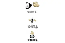 令人“知楠而退”花开满上海街头！专家为它“叫屈”：除了难闻，优点真的很多！图片