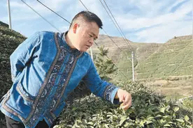 国家级非遗“都匀毛尖茶制作技艺”代表性传承人张子全——双手翻炒 茶香四溢（工匠绝活）图片