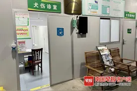 8岁孩子被狗抓伤，患狂犬病不幸身亡！医生提醒图片