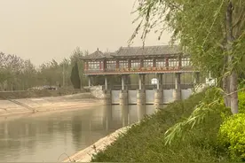 走进山东最大灌区，看这里实现“经济效益+生态蝶变”双丰收图片