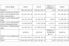 大智慧：2022年实现营业收入7.80亿元图片