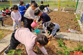 石门夹山镇中心幼儿园：“趣味”劳动提升幼儿“指尖”智慧图片