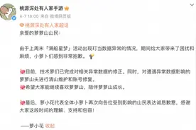 《桃源深处有人家》手游出圈背后，归隐田园愿景与商业化之困图片