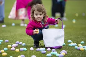 关于鸟蛋的6个冷知识图片