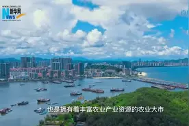乡村振兴在行动丨广东汕尾：革命老区探索乡村“绿美同兴”之路图片