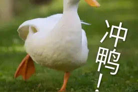 非常重要！汉马开跑前，请务必按此公式自测一遍图片