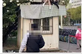 上海路边一木绣球花盛开，有人爬上保安亭拍照，城管：不安全不文明，正拆除岗亭图片