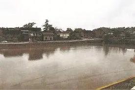 受损农田肥力恢复图片