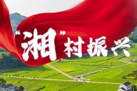 “湘”村振兴新图景丨靖州：乐群村里农事乐 杂交水稻制种插秧忙图片