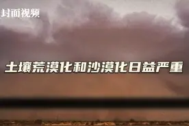 封面视频｜蒙古国沙尘暴频发背后：土壤荒漠化和沙漠化日益严重图片