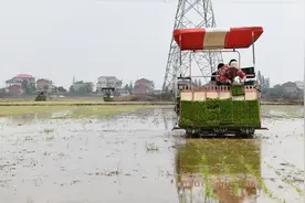 （社会）江西南昌：机械化插秧助力春播春种图片