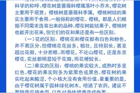 钦州科普日历丨樱桃和樱花是什么关系？与车厘子有何区别？图片