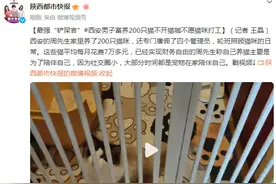最强“铲屎官”，西安男子养200只猫不开猫咖，不愿猫咪“打工”图片