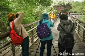 泉城公园万紫千红赏花好去处图片