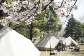 春日暖阳，出去郊游如何选最适合你的帐篷？图片