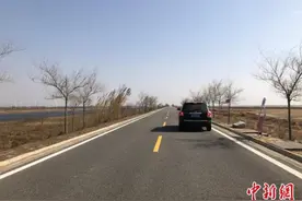 海外驾车，这些动态要了解！图片