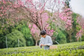 茶山新农人陈幺妹：我想把田坝推介给你图片