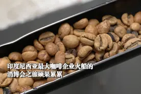 全球连线 | 真香！印尼咖啡的中国消博会之旅图片