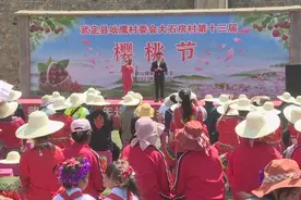 万亩樱桃成熟季 “以节促旅”引客来图片