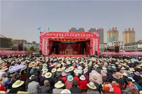 天水秦安：琴声悠扬桃花会 人山人海看大戏图片