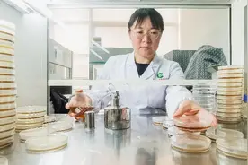 刘艳霞：把论文写在烤烟大地上图片