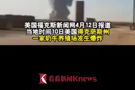 升起蘑菇云!美国一奶牛养殖场爆炸18000头牛死亡图片