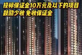 湖南投标保证金10万元及以下的政府项目，鼓励少收、免收保证金图片