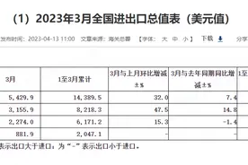 我国3月份出口额按美元计价同比增14.8%，“让做预测的经济学家震惊”图片