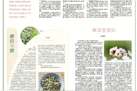 九色甘南 美味糌粑图片