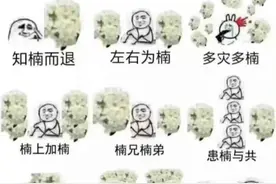 石楠开花了，它这么“臭”为什么还要种植呢？图片