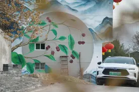 乡村振兴丨陕西汉阴庭院经济“有声有色”图片