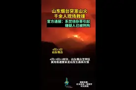 山东烟台突发山火，千余人现场救援，官方通报：系焚烧杂草引起图片
