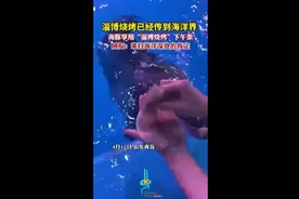 淄博烧烤已经传到海洋界，海豚享用“淄博烧烤”下午茶图片