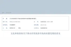 大数据杀熟、不合理低价游……这些行为将被精准监管！图片