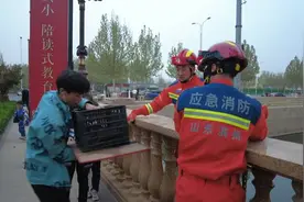 滨州：消防员齐心协力 救下受伤“喵星人”图片