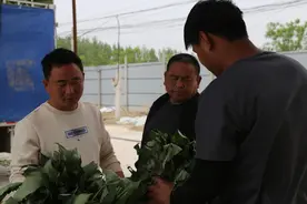 乡村振兴｜尉氏：“小能人”助力大产业图片