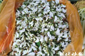 春花变身“菜中新贵”！槐花每斤25元、茉莉花每斤近百元图片