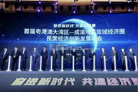 首届“粤港澳大湾区—成渝地区双城经济圈”民营经济创新发展合作峰会4月14日在渝举行图片