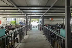 深解读|“小电驴”急需“大安全”  电动车乱象如何整治？图片