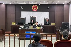 板栗合作社委托他人开发软件引纠纷,知产法官走进怀柔科学城断案图片