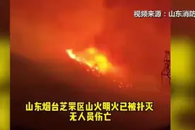 #烟台山火已扑灭无人员伤亡#起火原因：某居民酒后在山上烧杂草图片