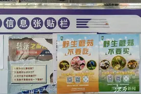慎摘禁食 远离毒蘑菇图片