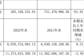 腾达建设：2022年净利润1651.17万元 同比下降97.99%图片