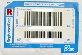 驻爱尔兰使馆：关于选择快递回邮方式寄回护照、旅行证的常见问题图片