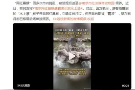红山动物园称“网红暴猴”数月前已单独饲养图片
