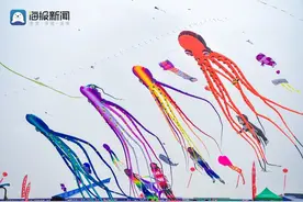 【高清组图③】“筝”奇斗艳，万物皆可天上飞！图片