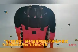 果然视频|巨型远古三叶虫风筝起飞瞬间，压迫感满满图片