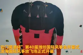 果然视频|巨型远古三叶虫风筝起飞瞬间，压迫感满满图片